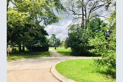 29021 Cherrywood Lane, Shenandoah, TX 77381 - Photo 20