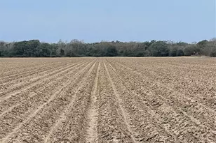 0 Cr 385, El Campo, TX 77437 - Photo 6