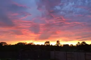 307 Brock's Ln, Montgomery, TX 77356 - Photo 24