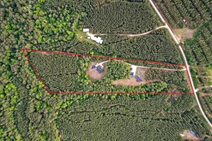 625 Gibson Rd, Livingston, TX 77351 - Photo 20
