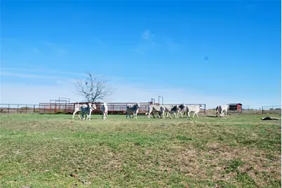 Tbd State Hwy 95 N, Moulton, TX 77975 - Photo 16