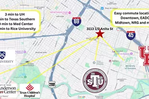 3113-1/2 Anita St, Houston, TX 77004 - Photo 14