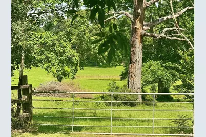 969 County Road 1050, Woodville, TX 75979 - Photo 24