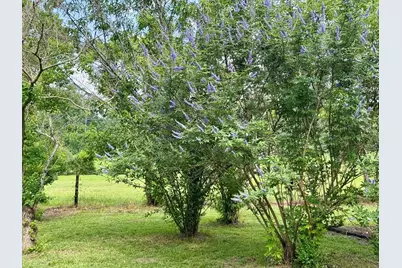 969 County Road 1050, Woodville, TX 75979 - Photo 24