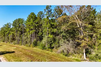 15821 Ridge Rock Road, Willis, TX 77378 - Photo 18