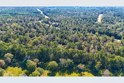 15821 Ridge Rock Road, Willis, TX 77378 - Photo 10