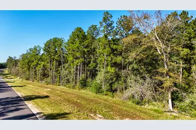15821 Ridge Rock Road, Willis, TX 77378 - Photo 20