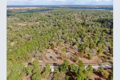 28016 Greenbriar Drive, Hockley, TX 77447 - Photo 6