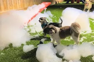 160 Birdsall St, Houston, TX 77007 - Photo 22