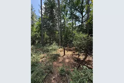 220 Lakeshore Point, Livingston, TX 77351 - Photo 8