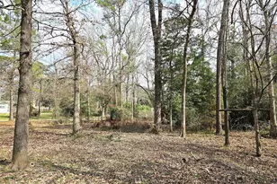 271 Oakwood Ln, Goodrich, TX 77335 - Photo 34