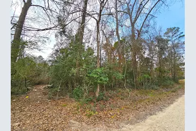 271 Oakwood Lane, Goodrich, TX 77335 - Photo 6