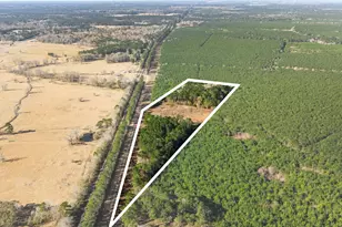 1495 County Rd 2200, Cleveland, TX 77327 - Photo 2