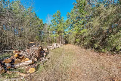 898 Taylor Lake Road, Livingston, TX 77351 - Photo 6