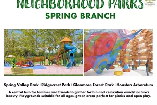 1306 Zora St, Houston, TX 77055 - Photo 24