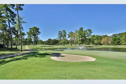 15703 Winding Moss Drive, Houston, TX 77068 - Photo 36