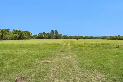 2955 Hogg Extension, Kennard, TX 75847 - Photo 38