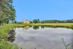 2955 Hogg Ext, Kennard, TX 75847 - Photo 42