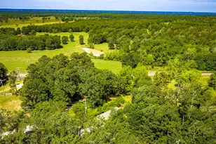 121 St Regis, Livingston, TX 77351 - Photo 30