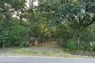 0 County Road 728C, Sweeny, TX 77480 - Photo 1