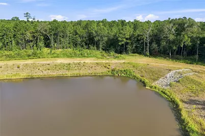 7346 Magnolia Hollow Drive, Montgomery, TX 77316 - Photo 4