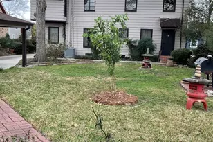 3805 Palm St, Houston, TX 77004 - Photo 8