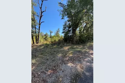 0 Old Highway 35 N, Livingston, TX 77351 - Photo 4