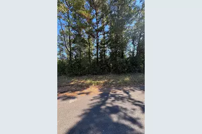 0 Old Highway 35 N, Livingston, TX 77351 - Photo 2