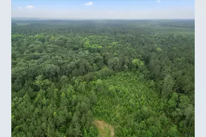 Tbd Sharp Lane, Coldspring, TX 77331 - Photo 12