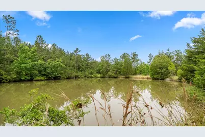 Tbd Sharp Lane, Coldspring, TX 77331 - Photo 42