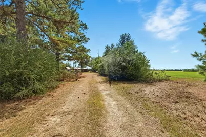 29211 Castle Road, Waller, TX 77484 - Photo 14