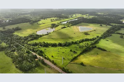 Tbd 65 Ac Old Highway 105, Plantersville, TX 77363 - Photo 8
