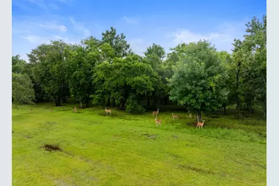 32610 Bayou Bend, Richwood, TX 77515 - Photo 10