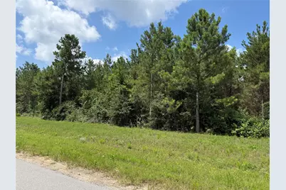 15751 Wood Grove Way, Willis, TX 77378 - Photo 2