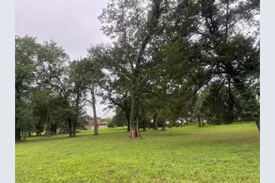 Lot 64 Birdie Drive, Hempstead, TX 77445 - Photo 2