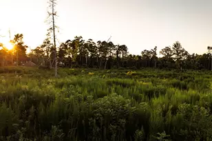 24340 & 24350 Weeren Rd, Montgomery, TX 77316 - Photo 22