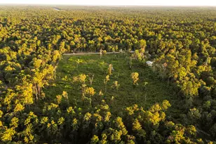 24340 & 24350 Weeren Rd, Montgomery, TX 77316 - Photo 12