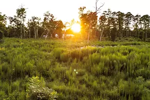 24340 & 24350 Weeren Rd, Montgomery, TX 77316 - Photo 34