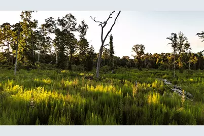 24340 & 24350 Weeren Road, Montgomery, TX 77316 - Photo 6