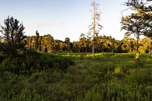 24340 & 24350 Weeren Rd, Montgomery, TX 77316 - Photo 4