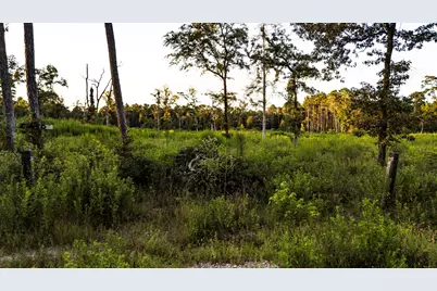 24340 & 24350 Weeren Road, Montgomery, TX 77316 - Photo 18