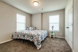 31111 Cardrona Peak Path, Hockley, TX 77447 - Photo 20