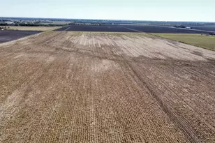 0 Roesler Rd, Needville, TX 77461 - Photo 1