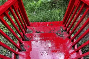 4118 Bonner View Ln, Houston, TX 77007 - Photo 36