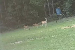 445 Cr 4309, Hillister, TX 77624 - Photo 18