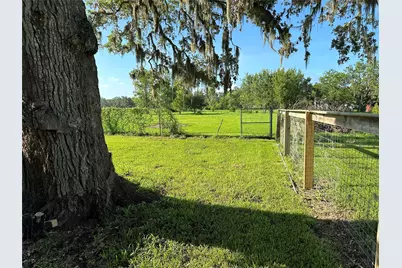 5249 County Road 353, Brazoria, TX 77422 - Photo 8