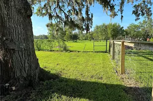 5249 County Rd 353, Brazoria, TX 77422 - Photo 8