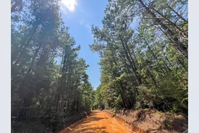 2 County Road 3230, Colmesneil, TX 75938 - Photo 14