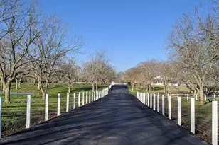 4309 Bowser Rd, Fulshear, TX 77441 - Photo 20