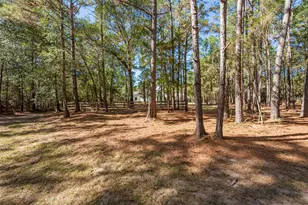29300 Sorrel Ln, Waller, TX 77484 - Photo 32